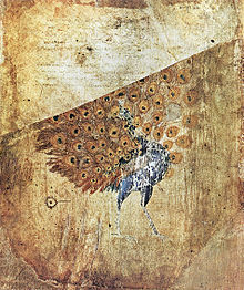 دیوسکوریدهای وین، طاووسی را به تصویر میکشد که در علم قرن ششم ساخته شده است