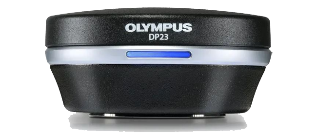DP23