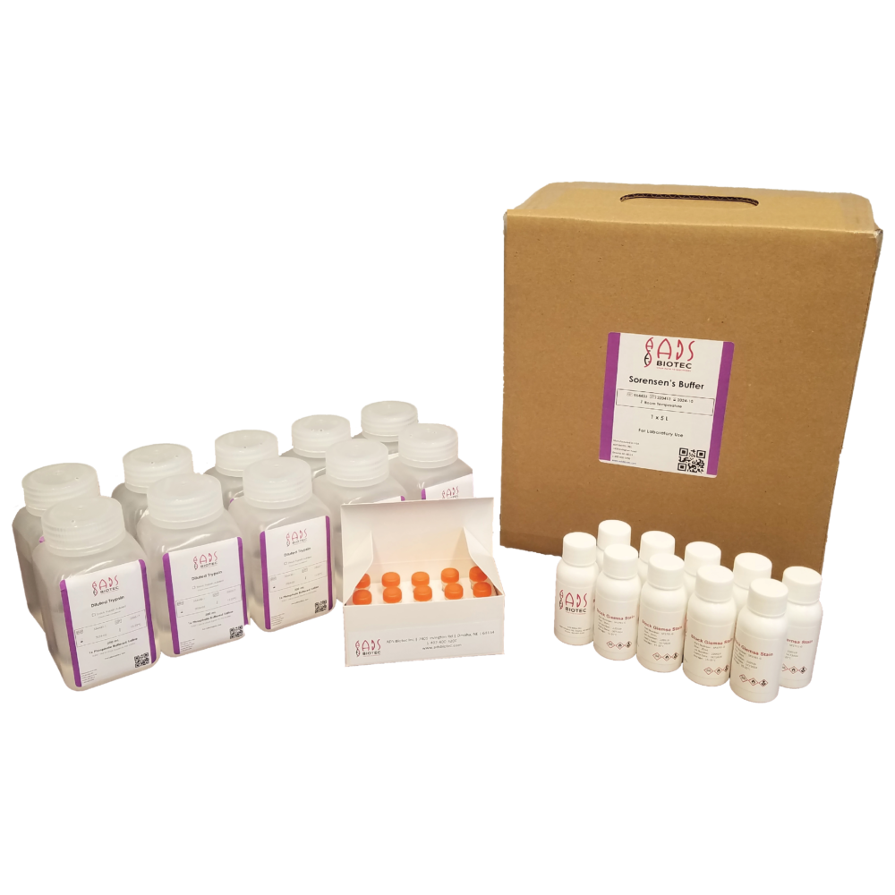 HANABI S1020 Staining Kit