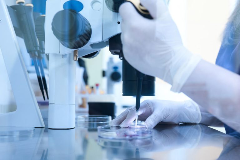 شرایط آزمایشگاهی IVF