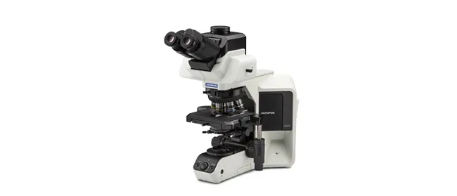 BX53