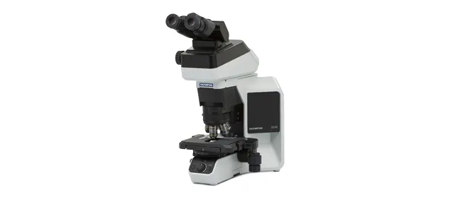 BX46