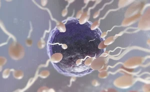 لقاح داخل رحمی