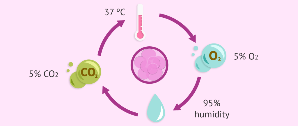 برخی از شرایط محیط کشت برای بهبود کیفیت جنین در IVF