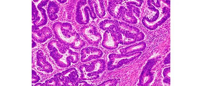 دوربین‌های رنگی