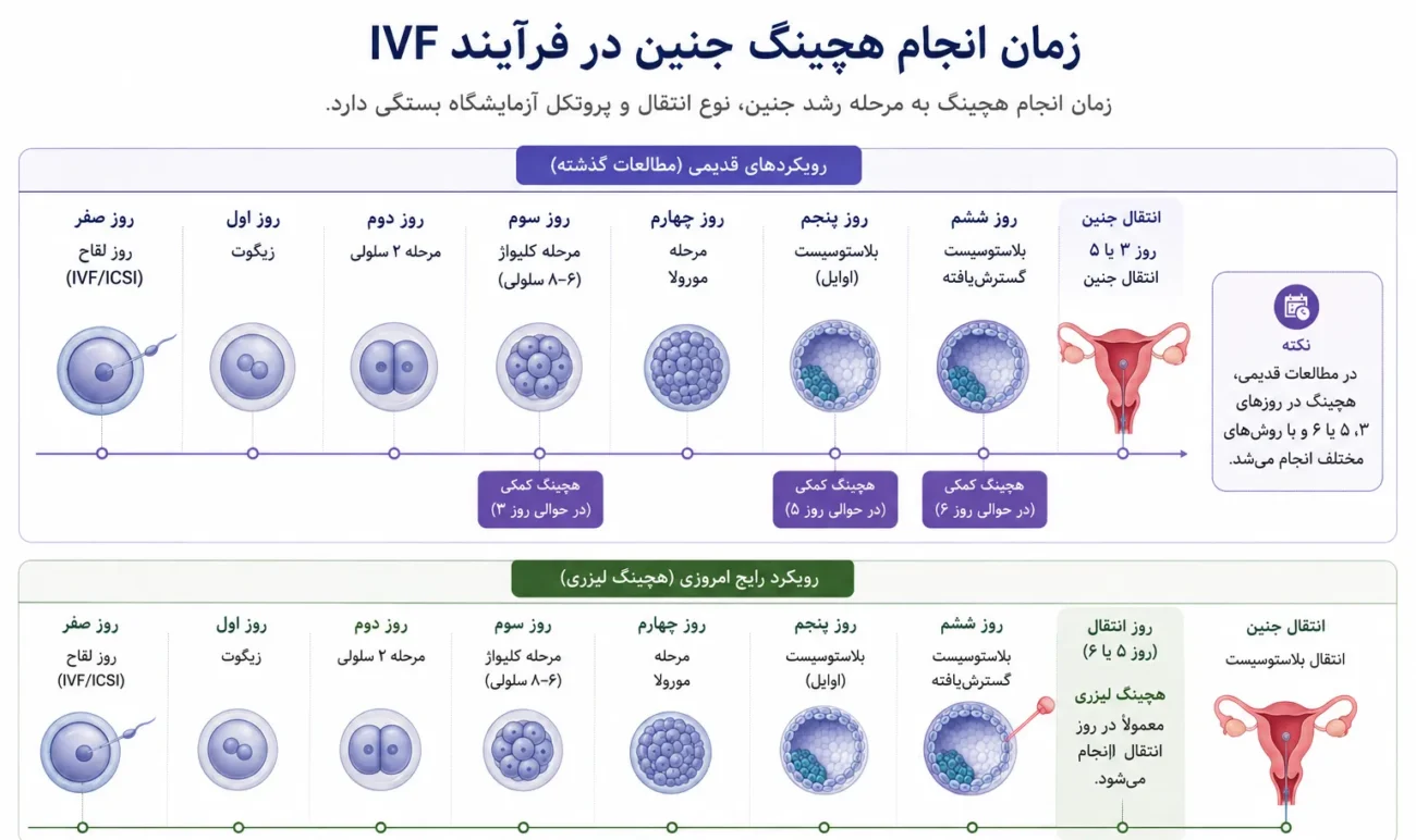 زمان هچینگ جنین در IVF