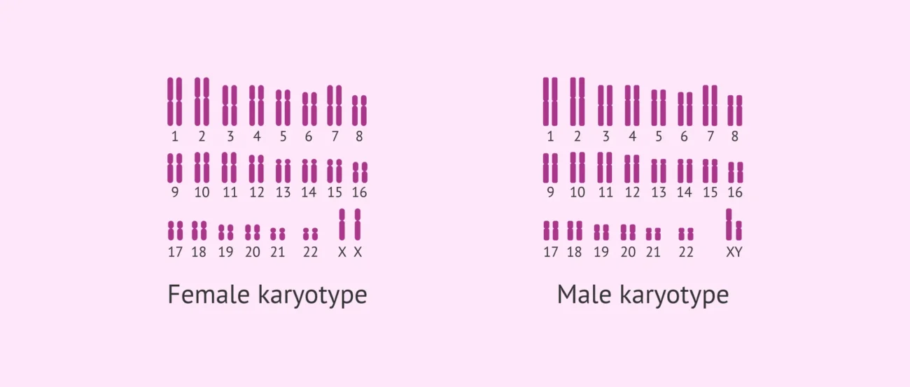 مقایسه کاریوتایپ زن و مرد