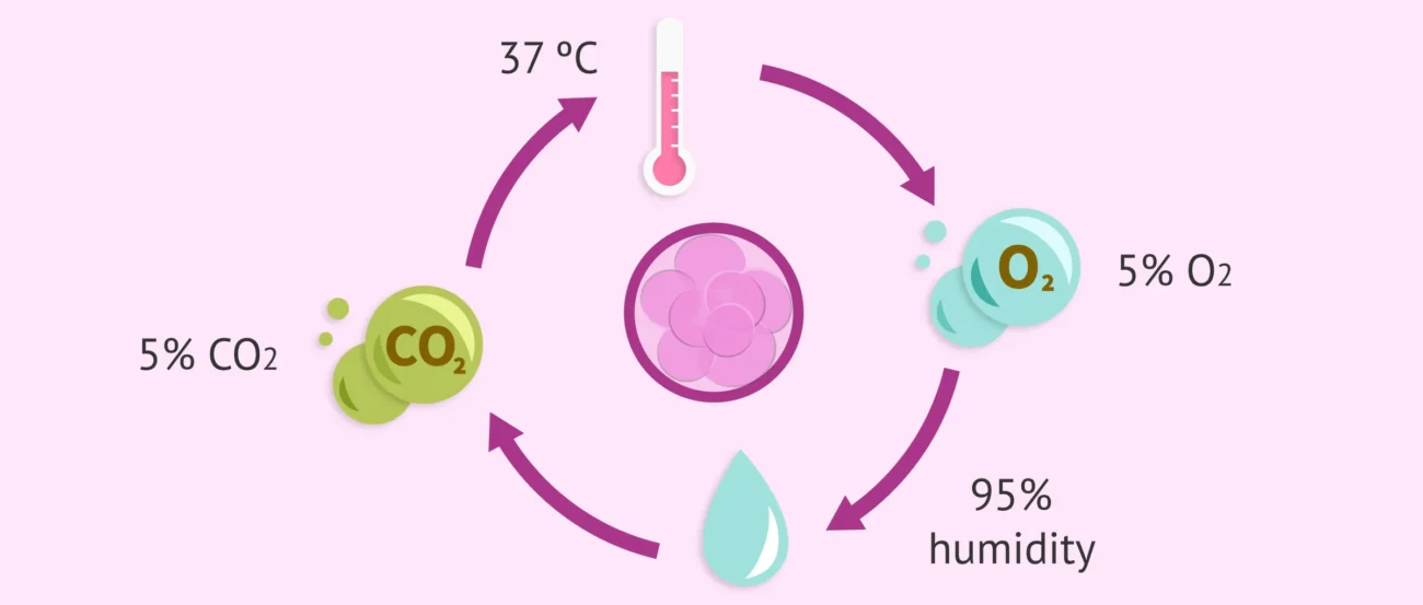 شرایط محیط کشت جنین در IVF