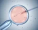 روش های آماده سازی اسپرم برای IVF