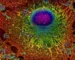 میکروسکوپ سوپر رزولوشن